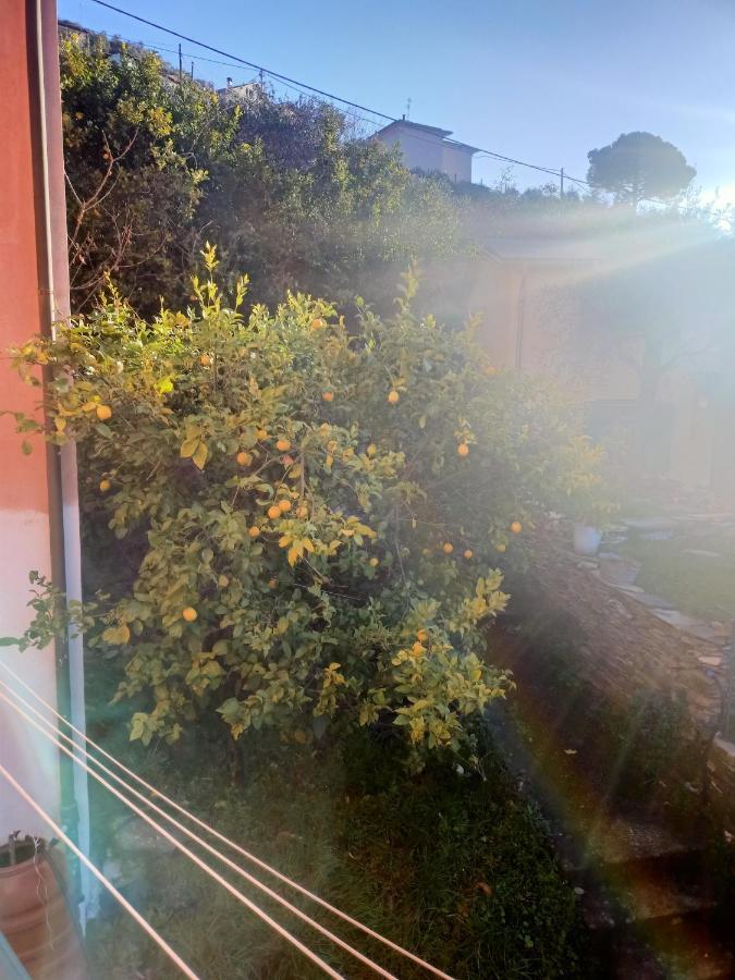 Dalla Franca Hotel Chiavari Bagian luar foto